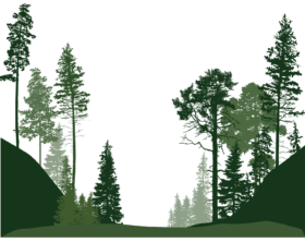 45406 euclidean vector tree forest trees hd image free png 2