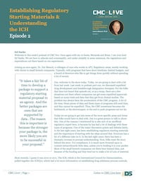 Establishing Regulatory Starting Materials & Understanding the ICH